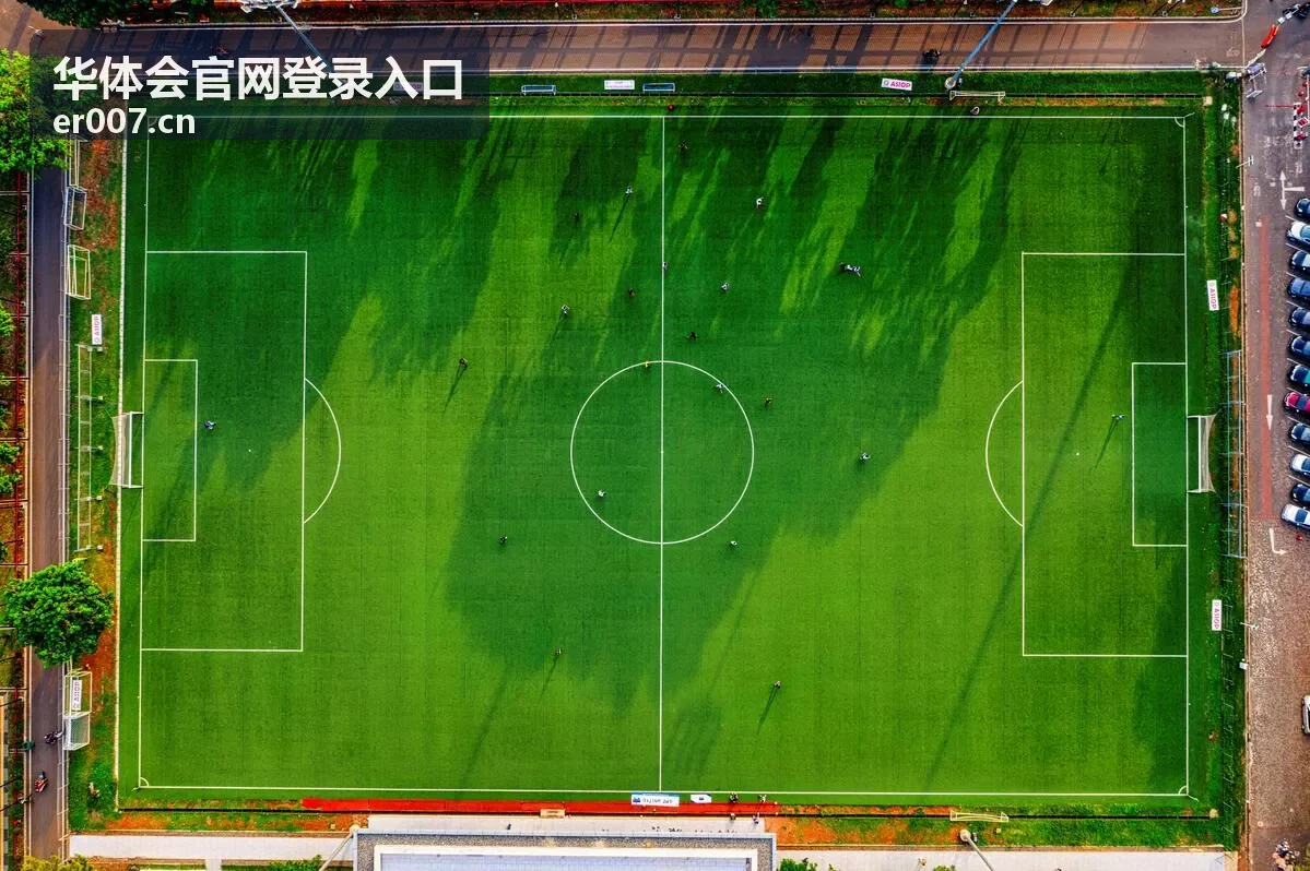 华体会官网登录入口异常登录处理流程图